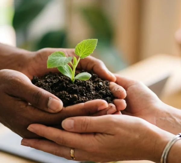 Mains tenant délicatement une jeune pousse verte symbole de croissance et d'impact positif