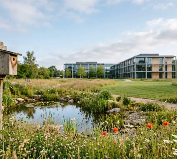 Espace vert d'entreprise naturel accueillant la biodiversité avec végétation spontanée et habitat pour les oiseaux